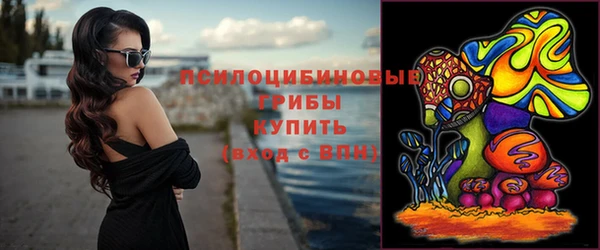 сатива Аркадак