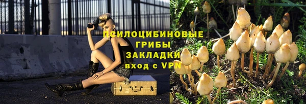 сатива Аркадак