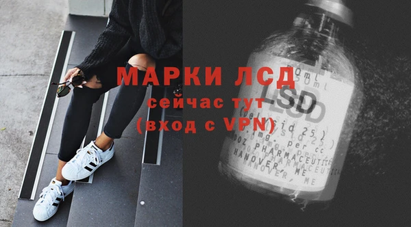 сатива Аркадак