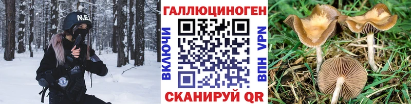 Псилоцибиновые грибы Psilocybine cubensis  Купить  Кимры 